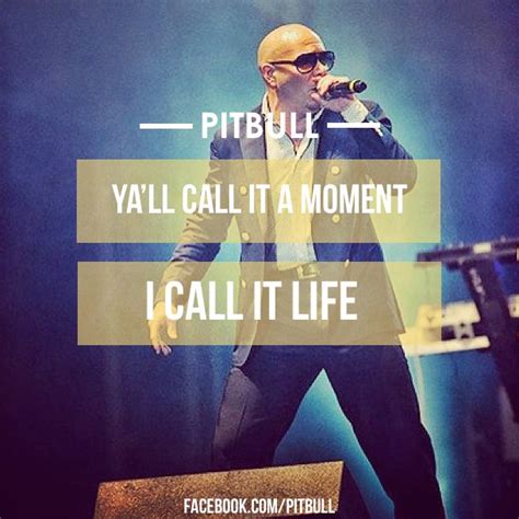 lyrics pitbull|famous pitbull lyrics.